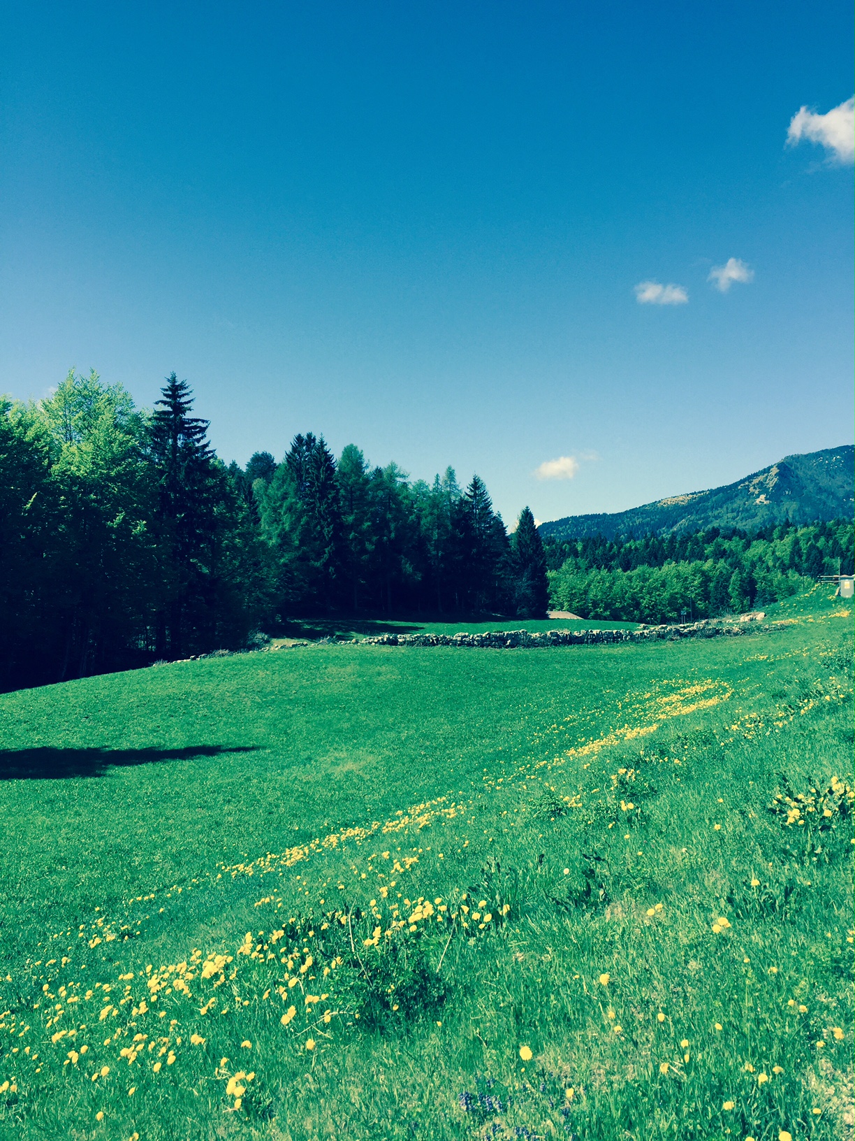 Ad agosto i corsi in montagna!