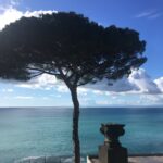 Qualche riflessione sull’invidia