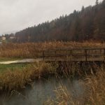 Consapevolezza dell’arteterapeuta