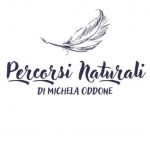 Il transfert